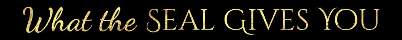 Rudrayan's Mahavidhya Mandala