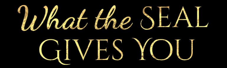 Rudrayan's Mahavidhya Mandala Mobile