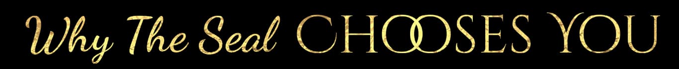 Rudrayan's Mahavidhya Mandala